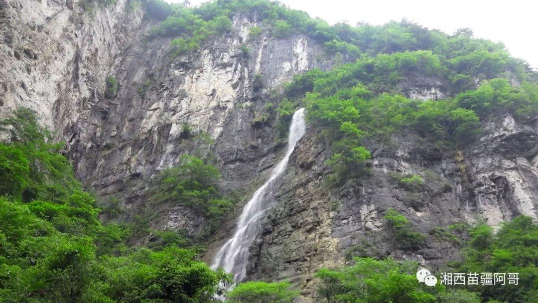 好彩龙开新·集字抽茅台